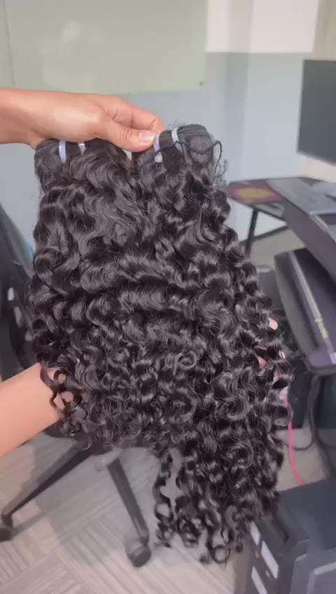 Burmese Curly